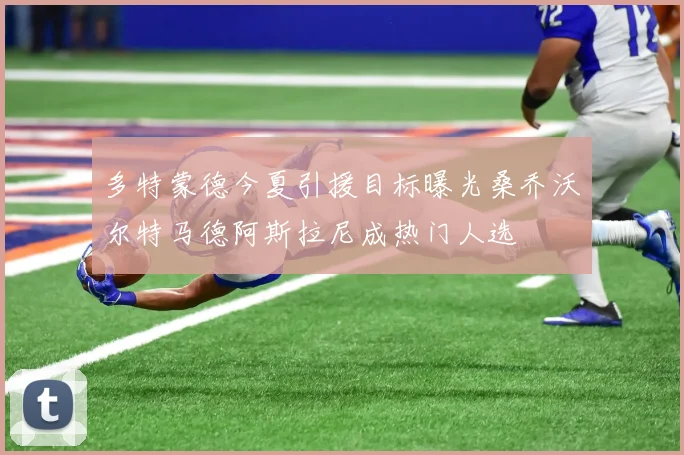 多特蒙德今夏引援目标曝光桑乔沃尔特马德阿斯拉尼成热门人选